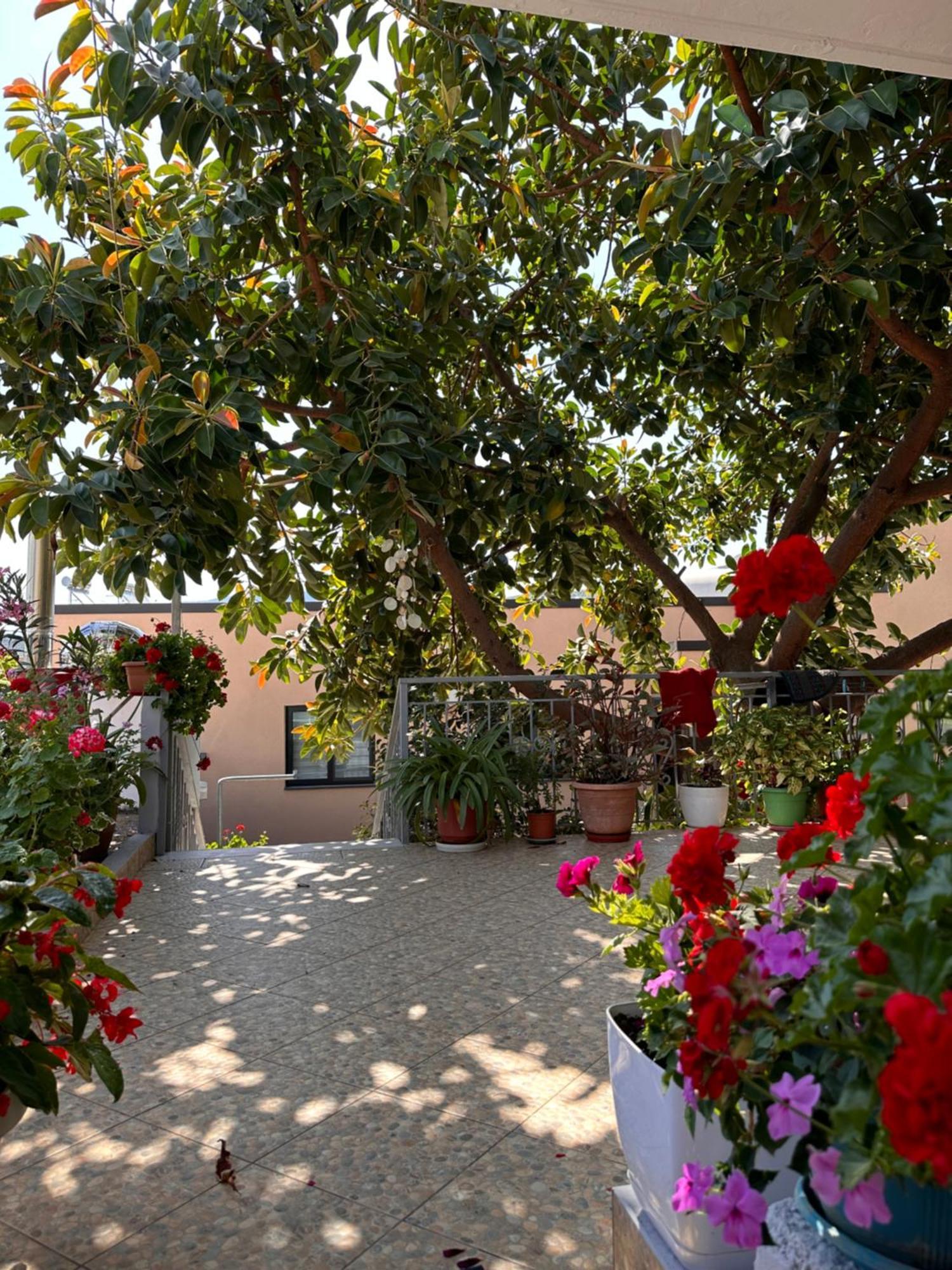 Albi'S Guesthouse Ksamil Exteriér fotografie