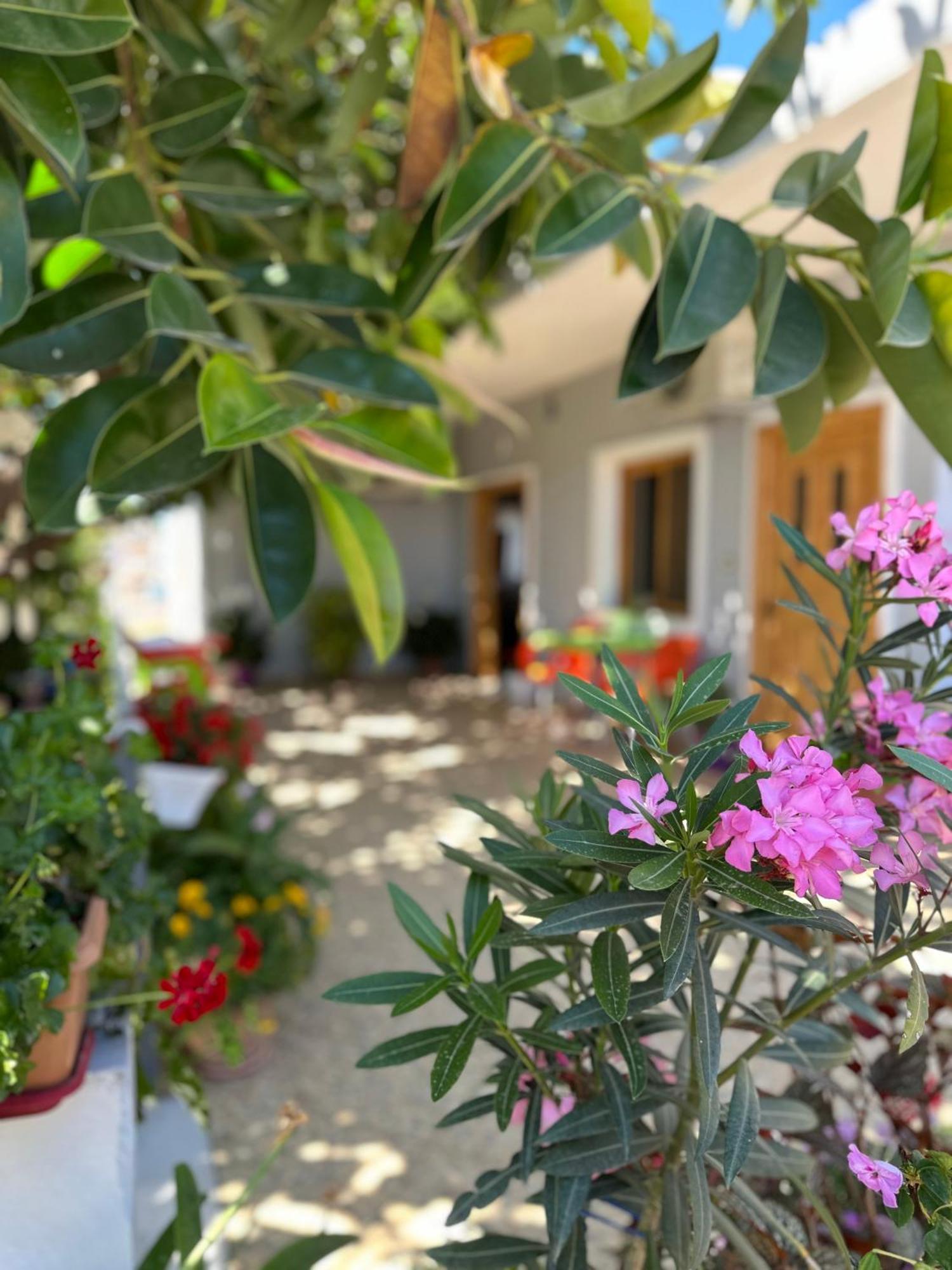 Albi'S Guesthouse Ksamil Exteriér fotografie